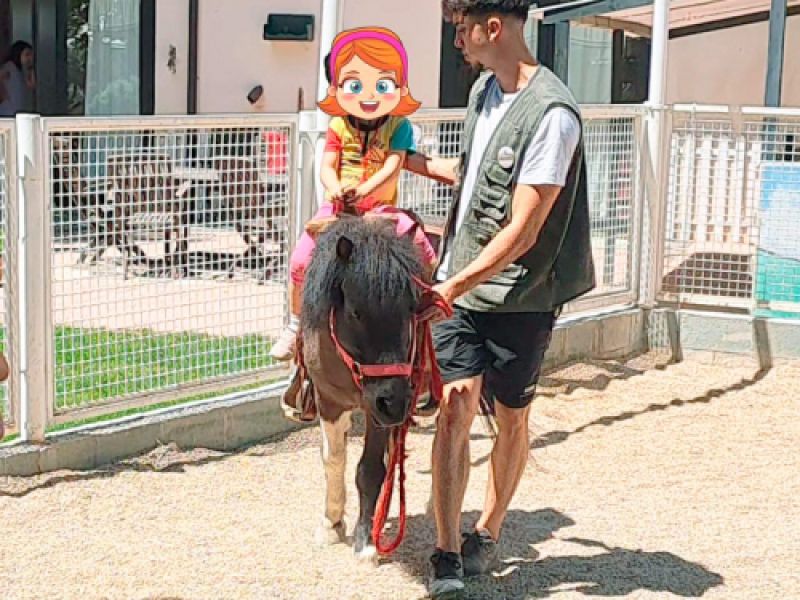 excursiones arco iris ciempozuelos