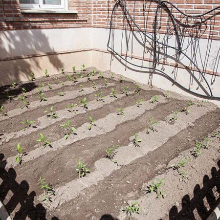 Huerto del CEI Arco Iris Ciempozuelos